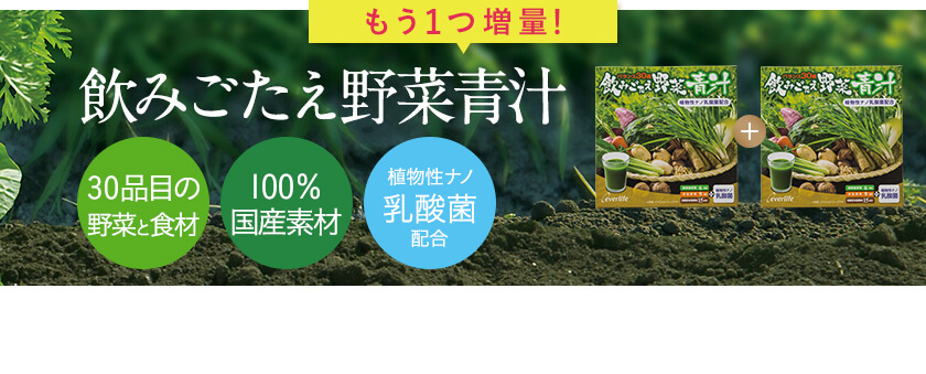飲みごたえ野菜青汁