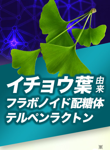 イチョウ葉由来 フラボノイド配糖体テルペンラクトン