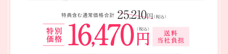 特別価格16,470円（税込）送料当社負担