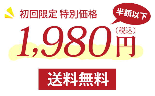 初回限定1980円送料無料