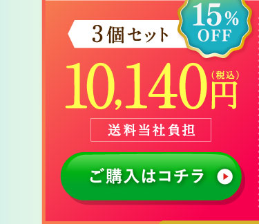 15%OFF3個セット10,140円(税込)送料当社負担 ご購入はコチラ