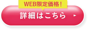 WEB限定価格詳しくはこちら