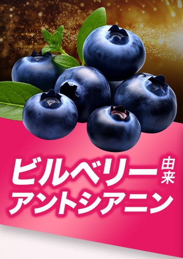 ビルベリー由来 アントシアニン