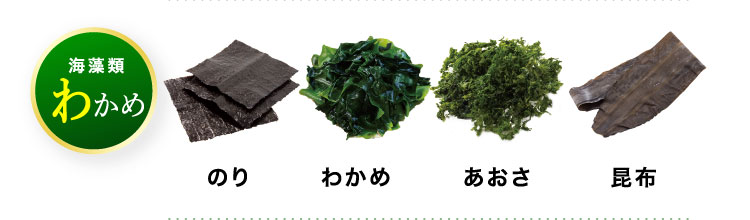 わかめ のり わかめ あおさ 昆布