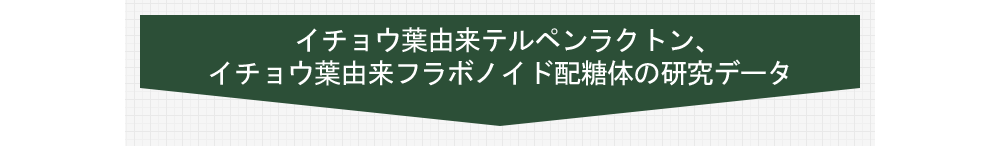 記憶力の測定結果