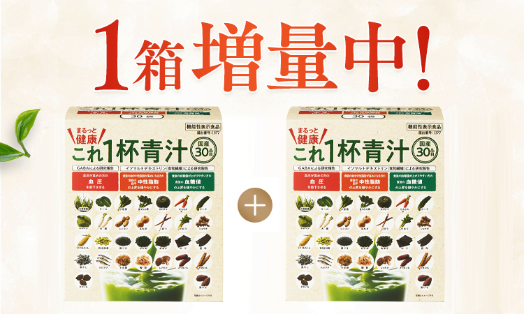 1箱増量中