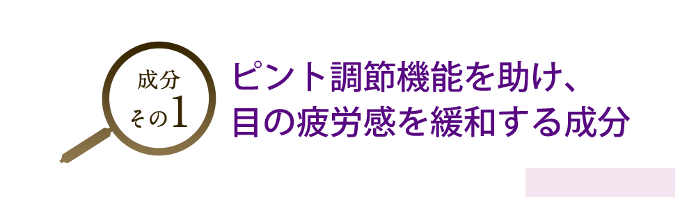 成分１：ピント調節機能を助け、目の疲労感を緩和する成分