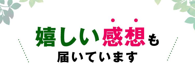 嬉しい感想も届いています