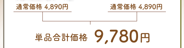 通常価格4,890円×2個　単品合計価格9,780円が