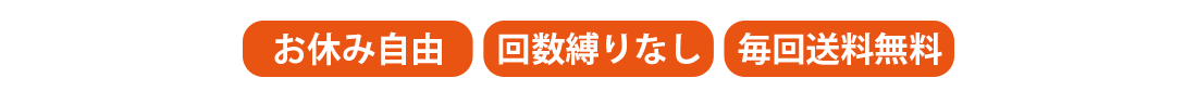 お休み自由　回数縛りなし　毎回送料無料