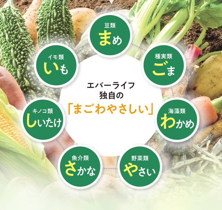 エバーライフ独自の「まごわやさしい」