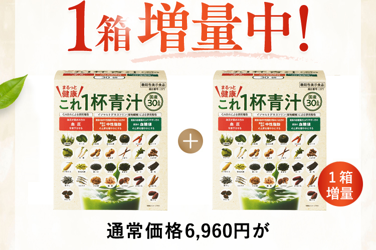 今!1箱増量中!
