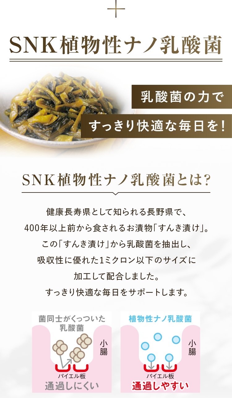 SNK植物性ナノ乳酸菌乳酸菌のカですっきり快適な毎日を! SNK植物性ナノ乳酸菌とは? 健康長寿県として知られる長野県で、400年以上前から食されるお漬物「すんき漬け」。この「すんき漬け」から乳酸菌を抽出し、吸収性に優れた1ミクロン以下のサイズに加工して配合しました。すっきり快適な毎日をサポートします。