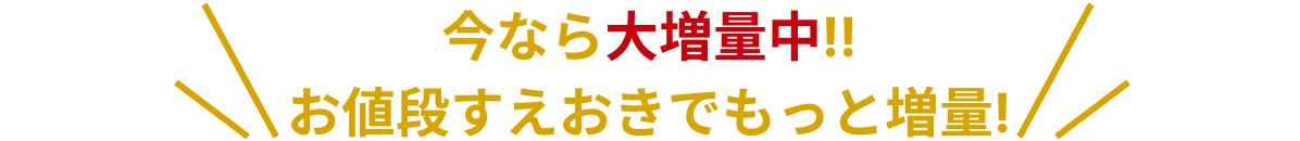 今なら大増量中‼︎ お値段すえおきでもっと増量!