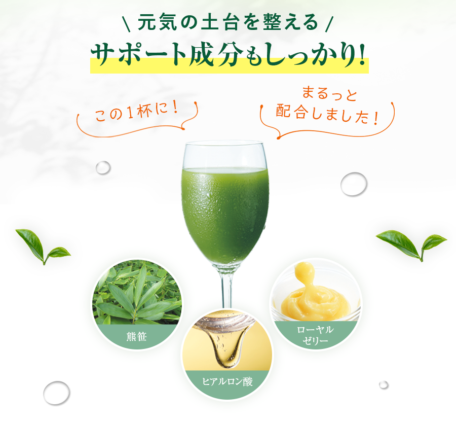元気の土台を整える サポート成分もしつかり!