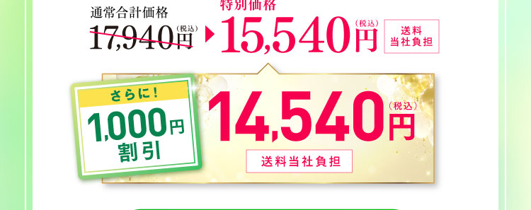 通常合計価格17,940円(税込)から特別価格15,540円(税込)送料当社負担 さらに！1,000円割引 14,540円(税込)送料当社負担