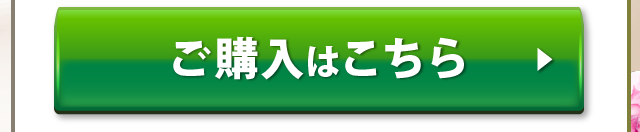 ご注文はコチラ
