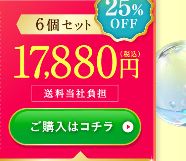 25%OFF6個セット17,880円(税込)送料当社負担 ご購入はコチラ