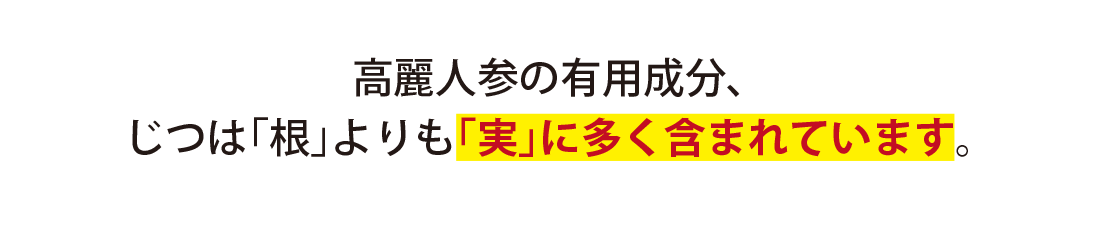 高麗人参の有用成分、じつは根よりも実に多く含まれています。