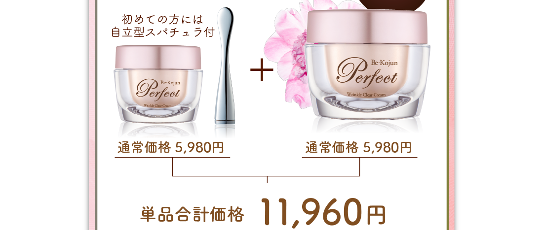 通常価格4,890円×2個　単品合計価格9,780円が