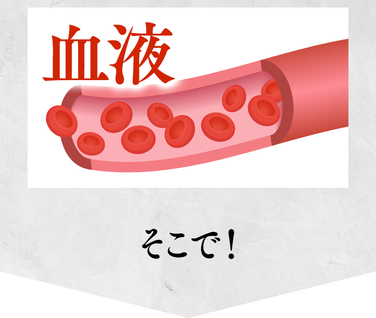 そこで