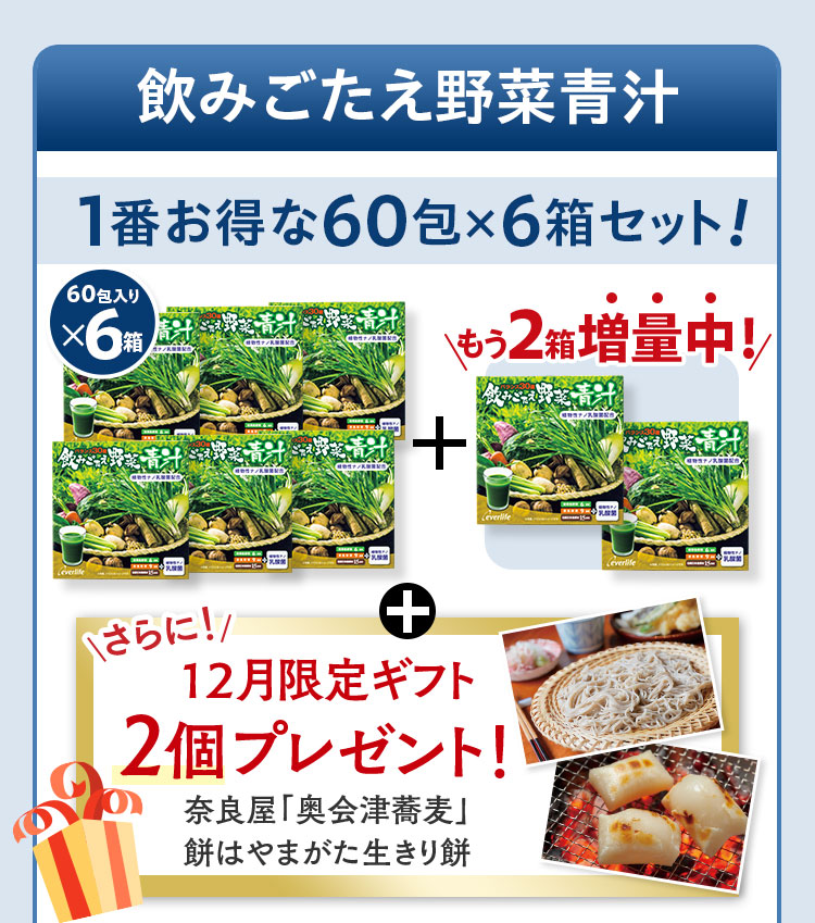 エバーライフ飲みごたえ野菜青汁60包 未開封 飲みごたえ野菜青汁