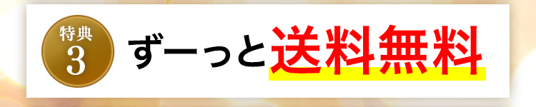 特典3 ずーっと送料無料