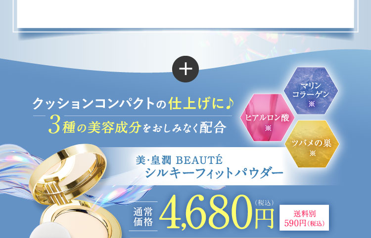 クッションコンパクトの仕上げに!単品 通常価格4,680円（税込）送料別590円（税込）