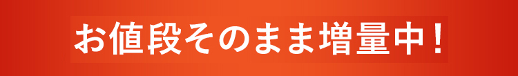 今、お値段そのまま