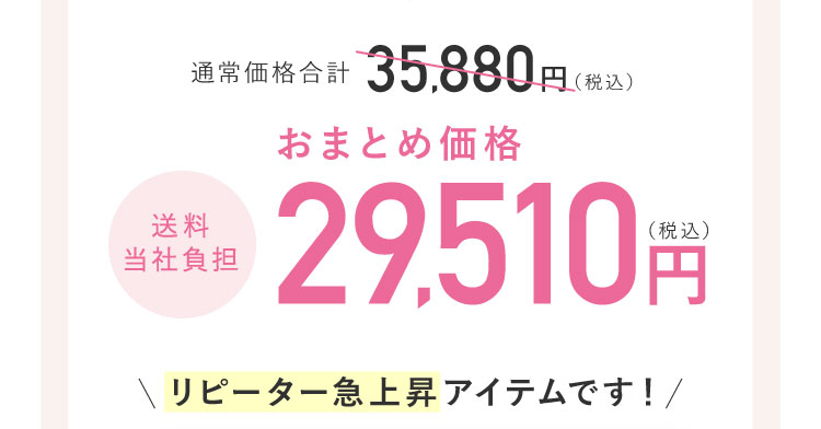おまとめ価格29,510円(税込)送料当社負担 リピーター急上昇アイテムです！