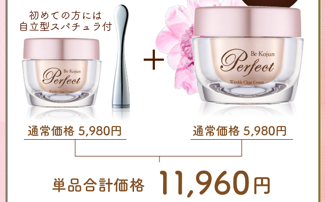 通常価格4,890円×2個　単品合計価格9,780円が