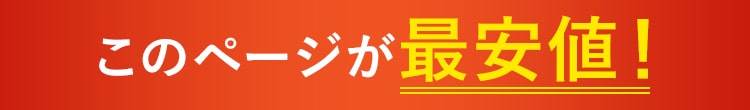 このページが最安値!