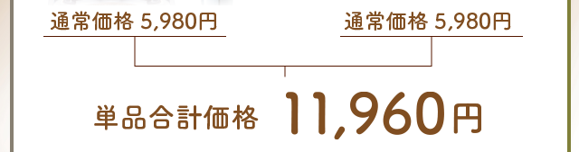 通常価格4,890円×2個　単品合計価格9,780円が