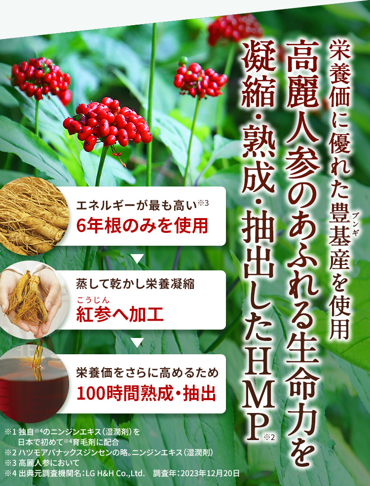 栄養価に優れた豊基産を使用　高麗人参のあふれる生命力を凝縮・熟成・抽出したHMP　6年根のみを使用　紅参へ加工　100時間熟成・抽出