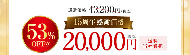 53%OFF!15周年感謝価格20,000円(税込)送料当社負担