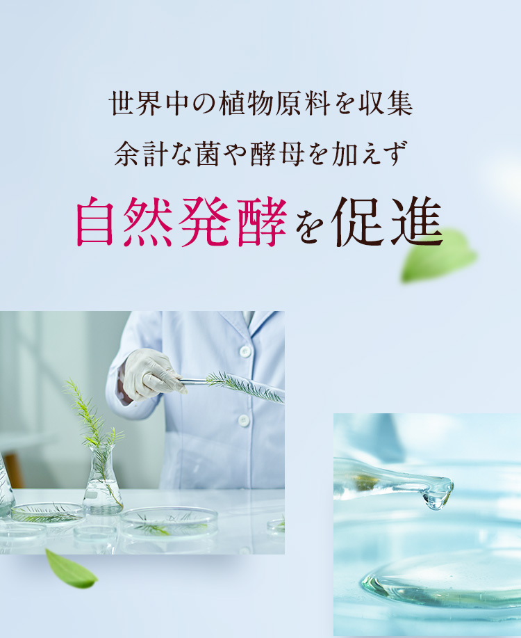 自然発酵を促進