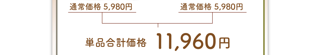 通常価格4,890円×2個　単品合計価格9,780円が