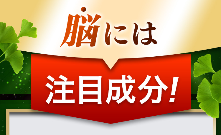 脳には注目成分！