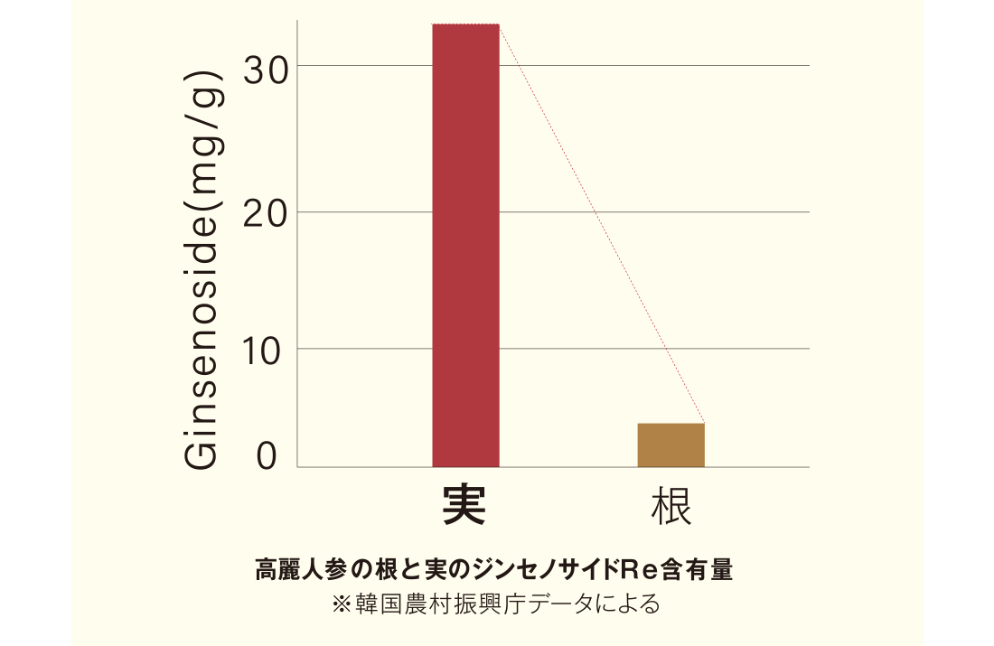 高麗人参の根と実のジンセノサイドRe含有量