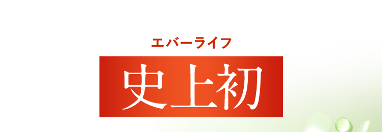 史上初