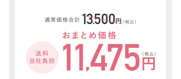 通常価格合計13,500円(税込) おまとめ価格11,475円(税込)送料当社負担