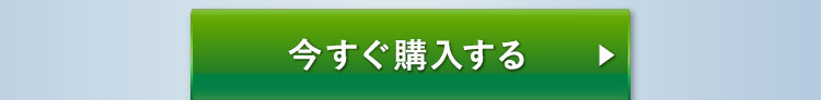 今すぐ購入する