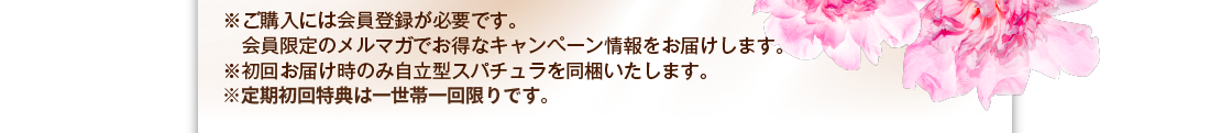 ※ご購入には会員登録が必要です。会員限定のメルマガでお得なキャンペーン情報をお届けします。　※初回お届け時のみ自立型スパチュラを同梱いたします。