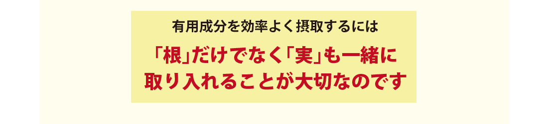 有用成分を効率よく摂取するには根だけでなく実も一緒に取り入れることが大切なのです。