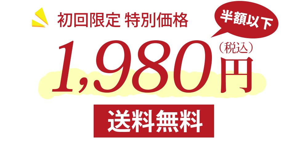 初回限定1980円送料無料