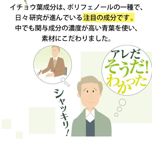 イチョウ葉成分は、ポリフェノールの一種で、医療分野でも研究が進んでいる注目の成分です。中でも関与成分の濃度が高い青葉を使い、素材にこだわりました。