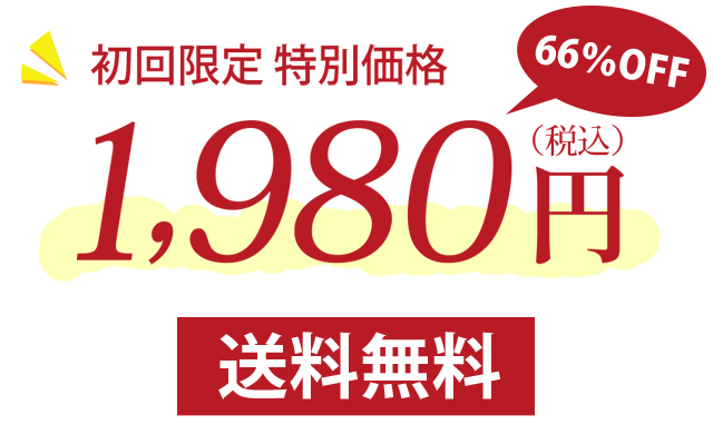 初回限定1980円送料無料