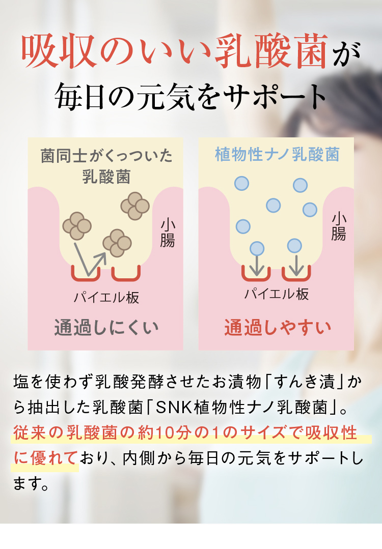 吸収のいい乳酸菌が毎日の元気をサポート