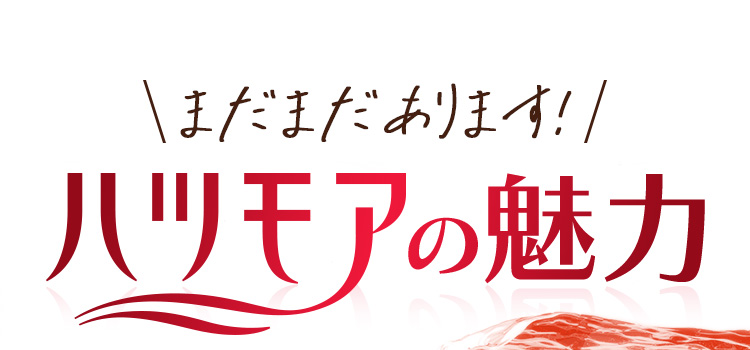 まだまだあります！　ハツモアの魅力