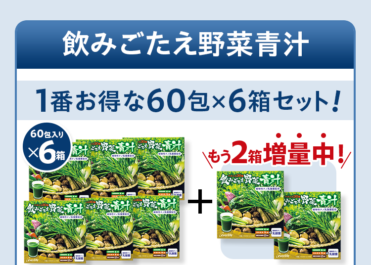 飲みごたえ野菜青汁 1番お得な60包×6箱セット 60包入り×6箱+もう2箱増量中！